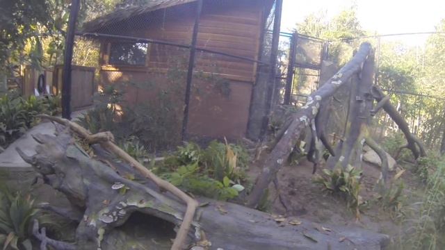Ocelot 2016. смотреть онлайн