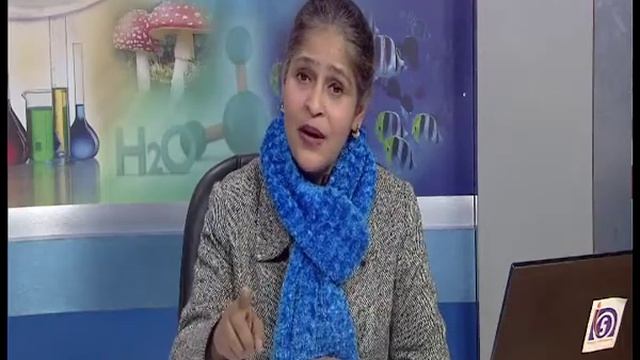 Secondary, English, Snake Bite 27-01-2020 смотреть онлайн