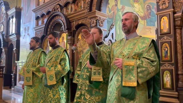 День Святого Духа. Торжественное богослужение и хиротония в Кафедральном Соборе смотреть онлайн