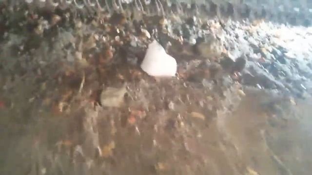 Как избавиться от таракана смотреть онлайн