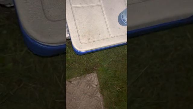 #треска Удачный улов Трески в заливе Атлантического Океана. Hampden, Newfoundland, Canada . смотреть онлайн