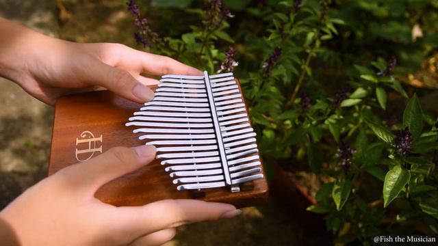 Melanie Martinez - Class Fight (Kalimba cover by Fish the Musician) смотреть онлайн