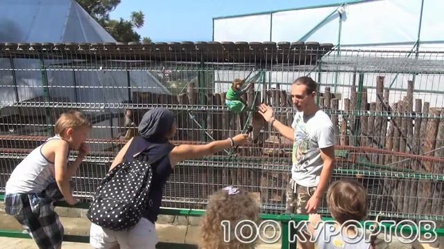 100 курортов - Экскурсия - Геленджик - Контактный зоопарк - Ролик №2 смотреть онлайн