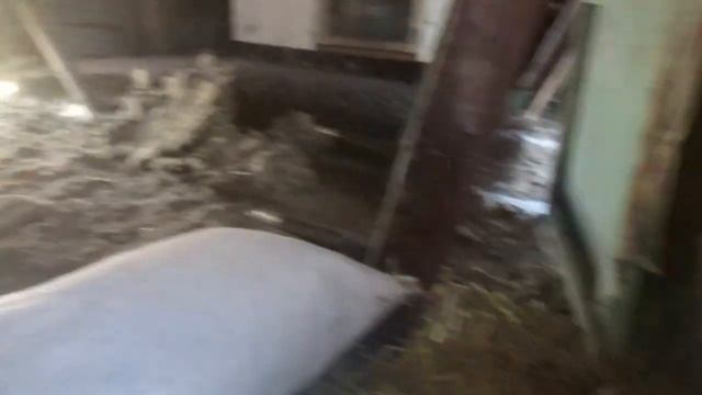 Что делать чтобы гуси начали нестись раньше.Семья в деревне.Жизнь в деревне,Деревенский канал. смотреть онлайн