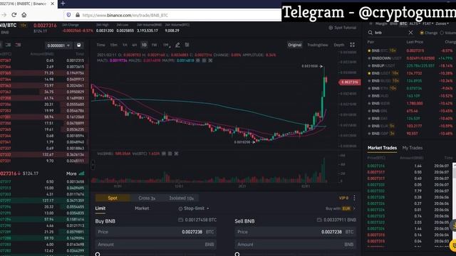 Crypto Pump and Dump Trading Bot for Binance (Places buy and sell order in LESS THAN 0.1 SECS) ! смотреть онлайн