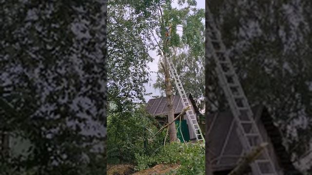 Развлечения на даче смотреть онлайн