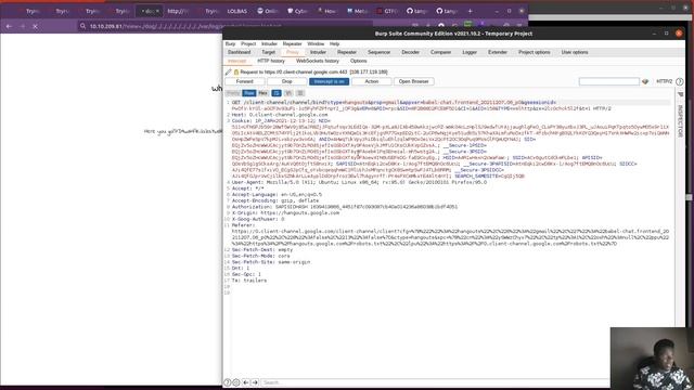 DogCat TryHackMe Walkthrough смотреть онлайн