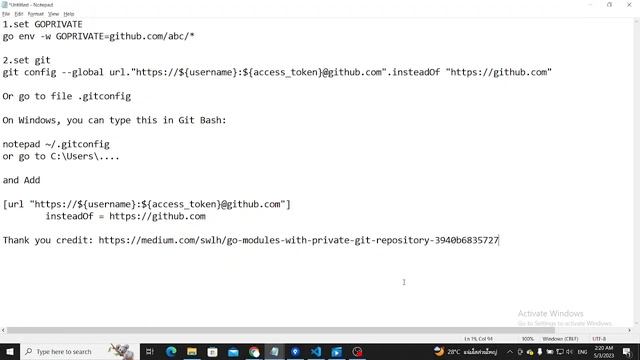 GOPRIVATE смотреть онлайн
