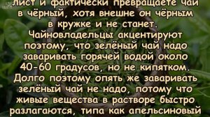 КАК ПРАВИЛЬНО УПОТРЕБЛЯТЬ ЗЕЛЁНЫЙ ЧАЙ?