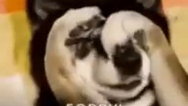 20 апреля 2021 г. смотреть онлайн