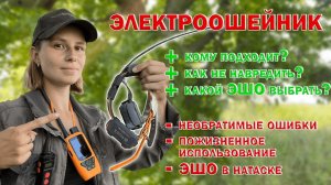 Как использовать электроошейник? / How to use an electric collar?