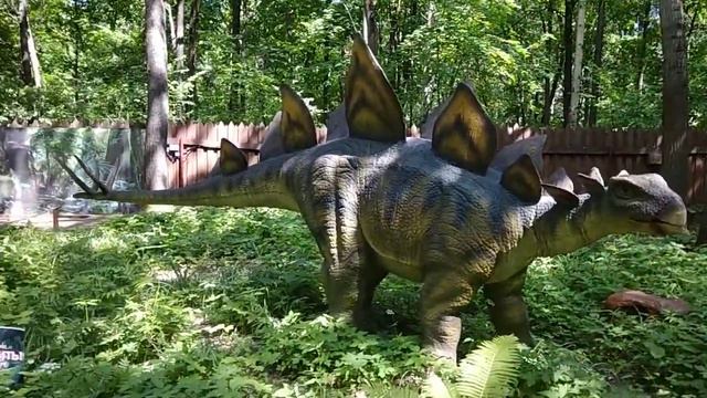 Парк победы🎡🎡🎡