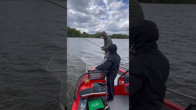 Барсуки на рыбалке) смотреть онлайн