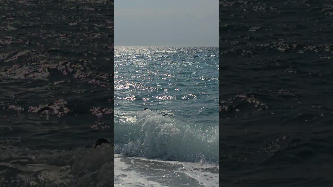 Море и пляжи в Абхазии #2024 #лето смотреть онлайн