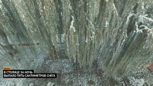 Сыну 30 лет .