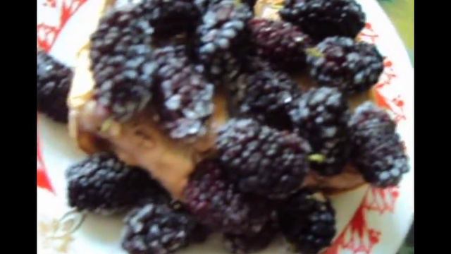 "Путешествие-22. Каменское! Шелковица чёрная (кулеровка/садовая), замороженная с лета! С мороженым" смотреть онлайн