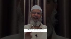 Акика жертвоприношение - Закир Найк #закирнайк #Аллах #иман #ислам #ихсан #ихляс #сунна #таухид