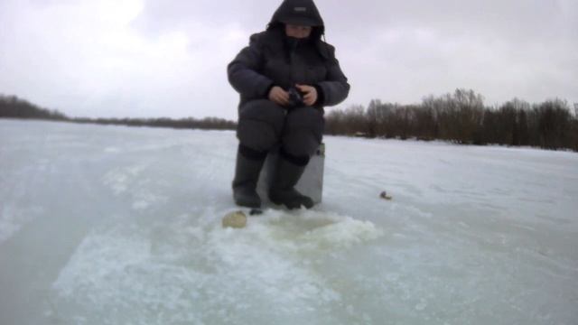 По протокам Северной Двины за окунем смотреть онлайн