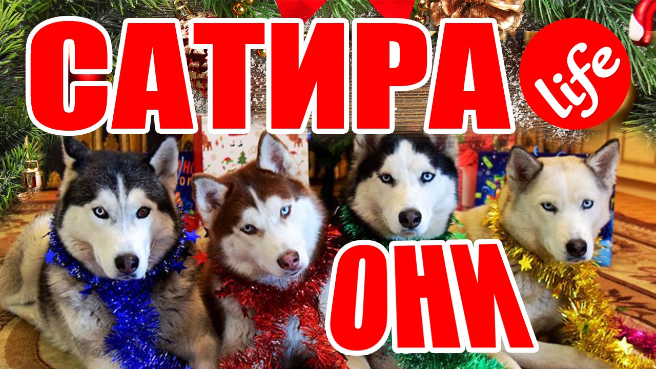 САТИРА Life ВЫПУСК № 16. ОНИ