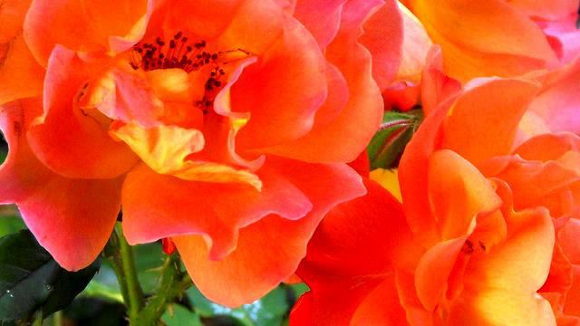 Лучшие романтические песни о любви онлайн смотреть онлайн