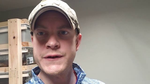 Feeding Ball Python Hatchlings Frozen Thawed - The Process смотреть онлайн