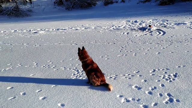 Рыбалка в -25 на мотобуксировщике-толкаче Ураган Промысловик смотреть онлайн