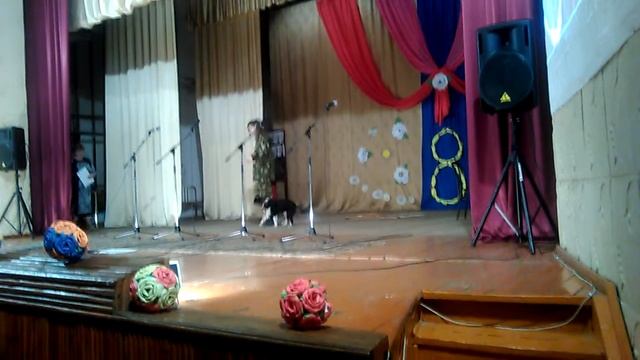 танец с собакой(фристайл)бим выступает смотреть онлайн