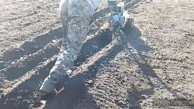 "КРОТ" и картошка, как не надо сажать картошку мотокультиватором смотреть онлайн
