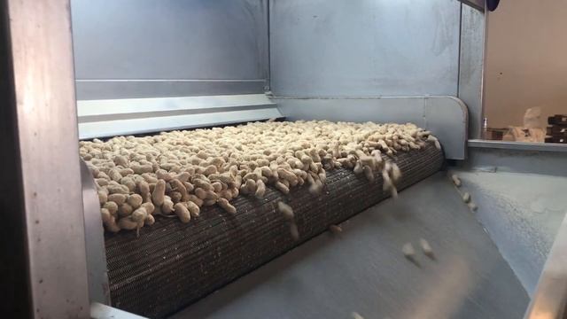 Машина для обжарки орехов - Shelled Peanut Roasting Machine - Machine à Rôtir Bande смотреть онлайн