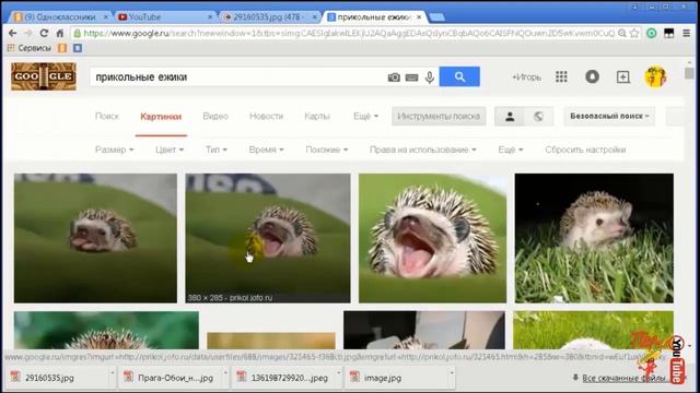 Как сохранить картинку из Интернета? смотреть онлайн