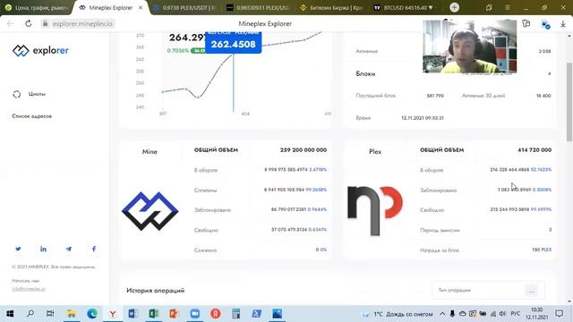 Обзор рынка токена Plex на 12 ноября 20021 смотреть онлайн