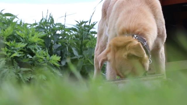 Как живется в деревне пока нет света? смотреть онлайн