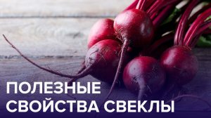 Полезные свойства СВЕКЛЫ | Доктор 24