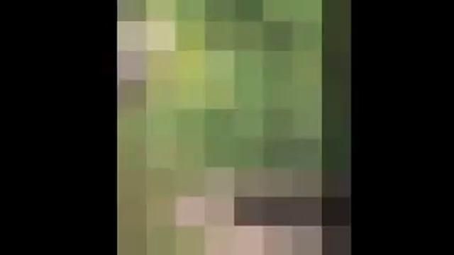 МОЗАИКА своими руками. Идеи для сада. Ландшафтный дизайн смотреть онлайн