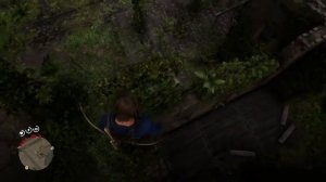 Орхидея-призрак, которой нет на картах. Red Dead Redemption 2