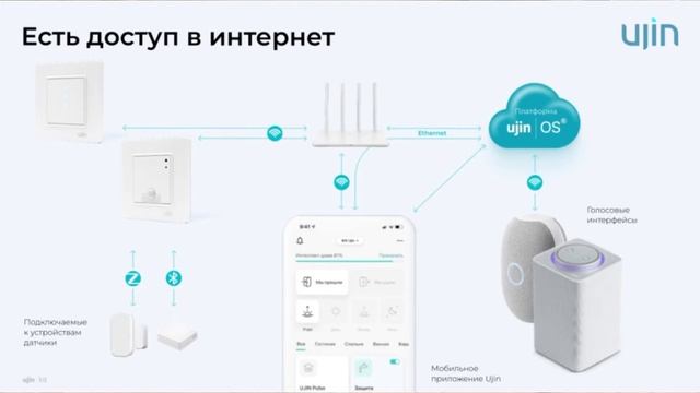 Профессиональная чистка