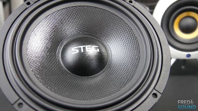 STEG SG650c Vs FX-AUDIO TUBE-01 Vs STEG K4.01 Active (AQXMII) SAX 4k (INT)
