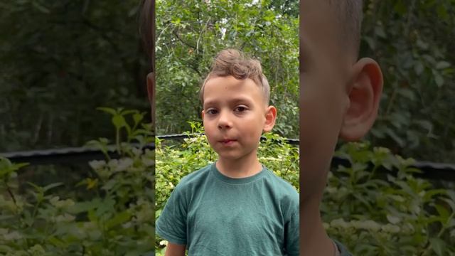 Воля Завитаев 6 лет, рост 126 см, самопробы смотреть онлайн