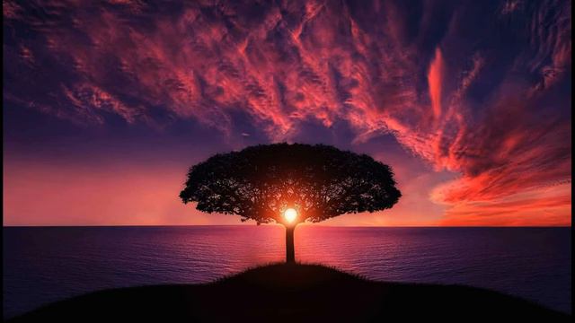 Relaxing Musik | Free Musik No Copyright | Музыка для расслабления и сна | Спокойствие | смотреть онлайн