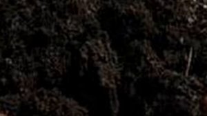 Посадка огурцов в 5 литровых бутылках