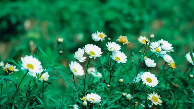 Дети бросили старенькую мать на произвол судьбы. А спустя годы, приехали за наследством и обомлели. смотреть онлайн