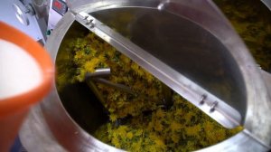 NOMAD (ТМ) сбор одуванчиков для производства варенья