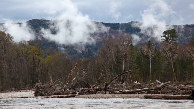 Рыболовные истории. Часть 2 смотреть онлайн