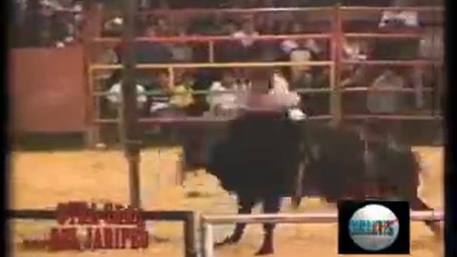 PAGINASDELPASADOPORRAZOS7JULIO2010.flv смотреть онлайн