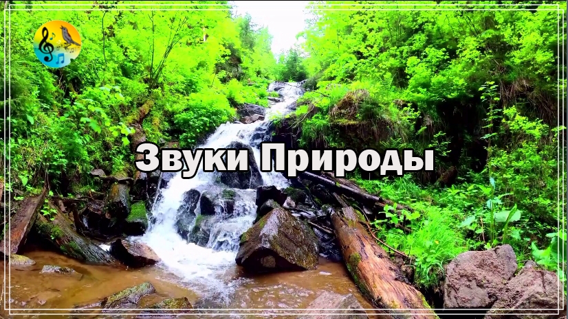 Звуки Природы Для Сердца И Сосудов ? Звуки природы. Расслабляющие звуки водопада ? Relaxing смотреть онлайн