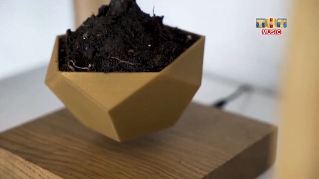 Левитирующие растения и светильники смотреть онлайн