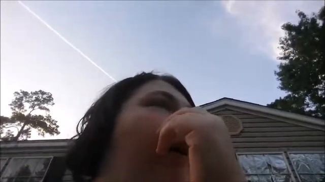 Howl tutorial and updates смотреть онлайн