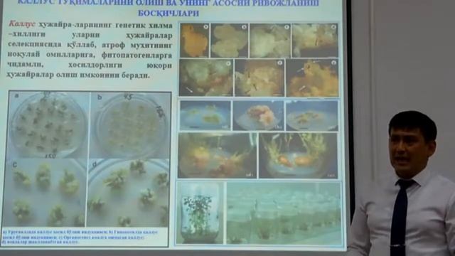 Mavzu: Hujayra va to'qimalar kulturasi смотреть онлайн