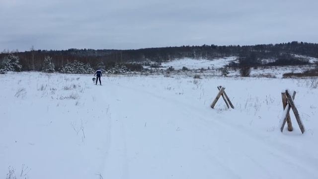 Мой первый Скиджоринг смотреть онлайн