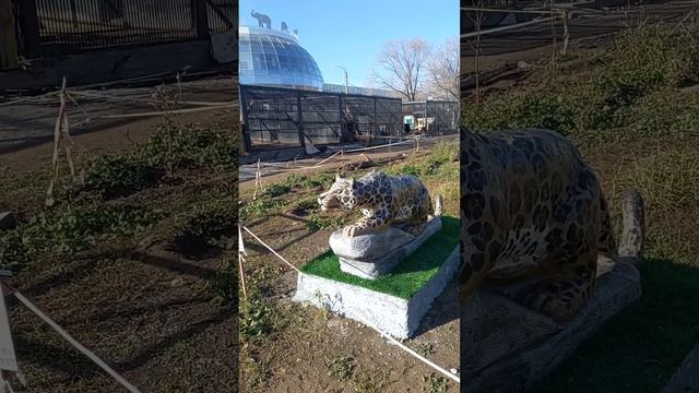 Это жанровая скульптура ягуара 6-го Ноября в зоопарке смотреть онлайн